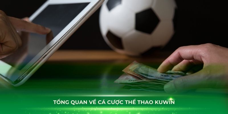 Tổng quan về cá cược thể thao Kuwin